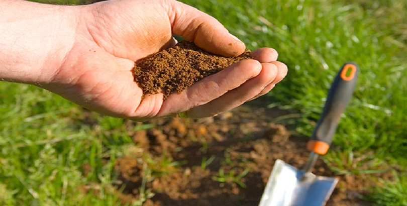 soil-sample